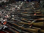 Loaded: Among the weapons collected were scores of rifles, shotguns and pistols, sawed-off shotguns, a century-old antique weapon, a rifle used for hunting elephants and five fully automatic weapons