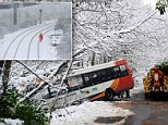 Twenty children had a lucky escape this morning when their school bus skidded off an icy road - and plunged down a 50ft embankment in a quiet Welsh village.