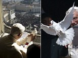 Benedict XVI releases a dove during the Angelus prayer in Saint Peter's square at the Vatican