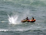Police in inflatable rubber boats shoot at a shark off Muriwai Beach in New Zealand as they attempt to retrieve a body following a fatal shark attack