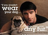 Criticism: PETA, well-known for its hard-hitting adverts such as the one pictured, has come under fire for the number of animals it kills at its shelter in Norfolk, Virginia.