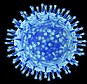 Deadly: The H5N1 strain of bird flu 