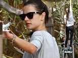 A fruity new hobby! Alessandra Ambrosio picks lemons with the help of delighted daughter Anja
