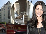 Ashley Greene flees blazing Hollywood apartment: Twilight actress's condo goes up in flames as pet dog perishes in fire
