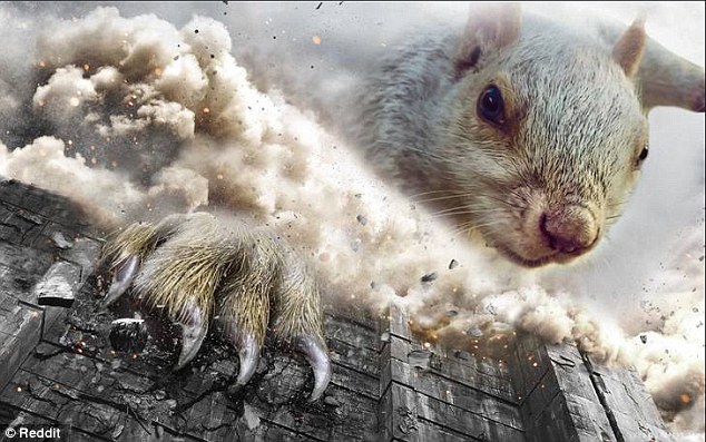 One picture shows the rodent depicted as a huge monster, attacking earth from the sky. This is a the squirrel shown as a character from Attack on Titan, a Japanese manga series where gigantic humanoids  eat humans seemingly without reason